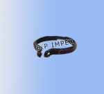 Chamber Clamp,